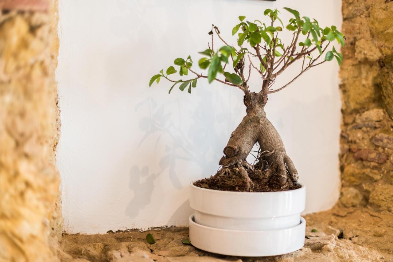 Alfama Design Villa Lisboa Ngoại thất bức ảnh