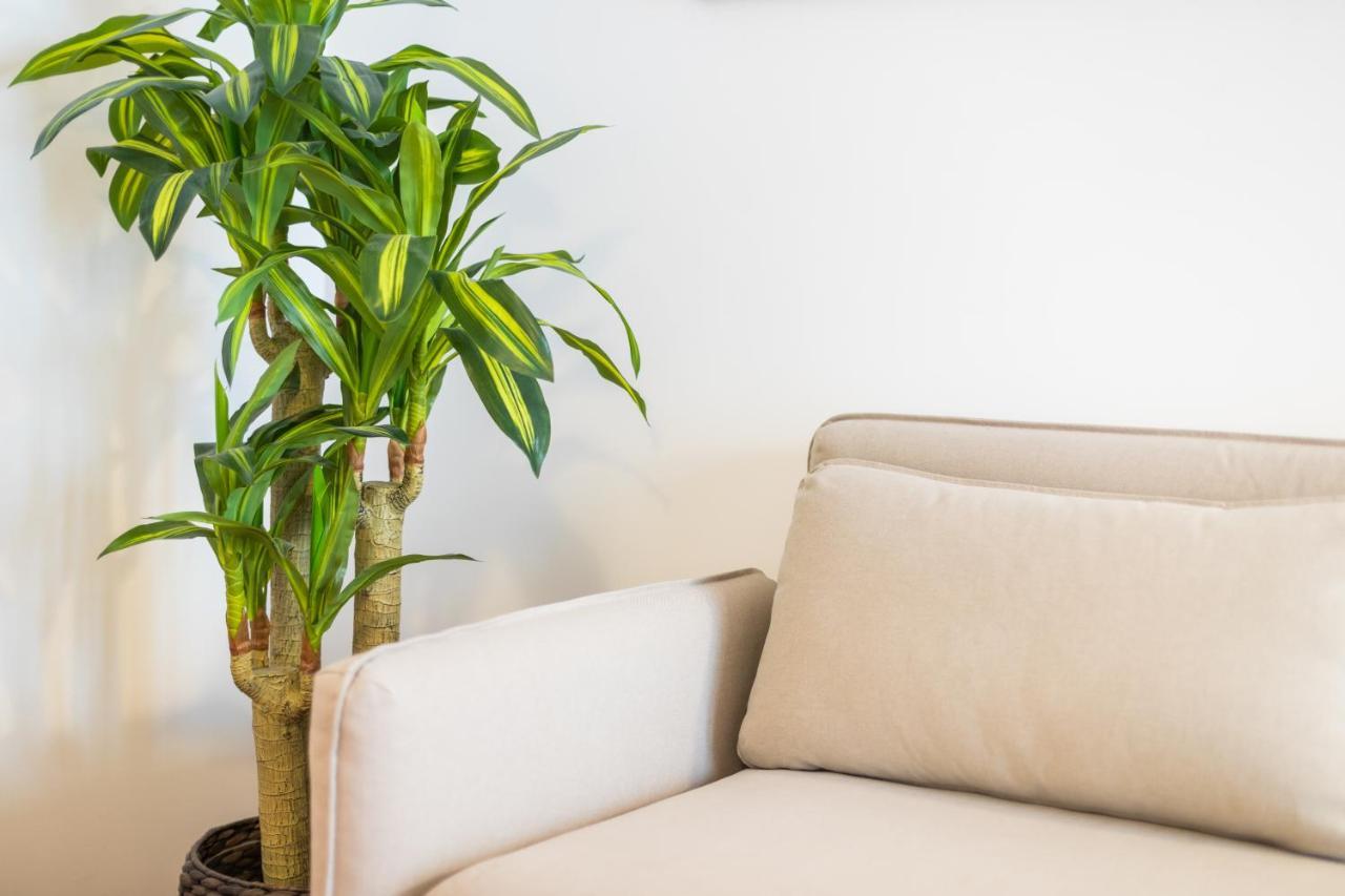 Alfama Design Villa Lisboa Ngoại thất bức ảnh